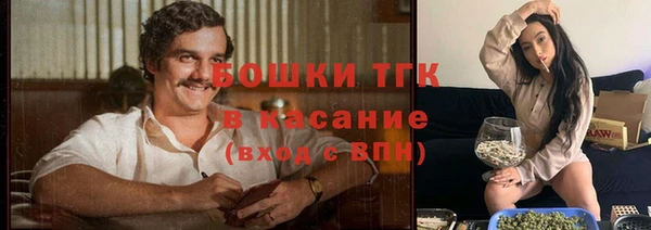 индика Магадан