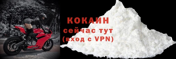 твердый Магас