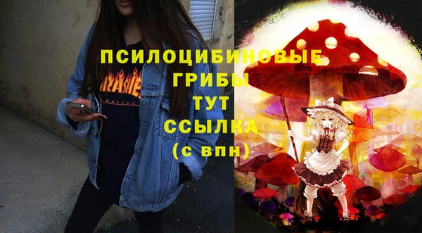 индика Магадан