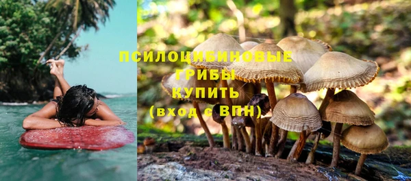 индика Магадан